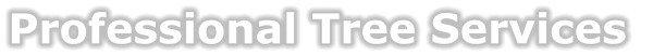 Professional Tree Services