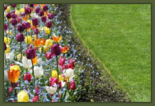 Tree Service Nashua | Flower Beds